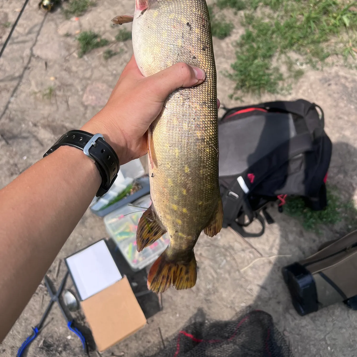 catch