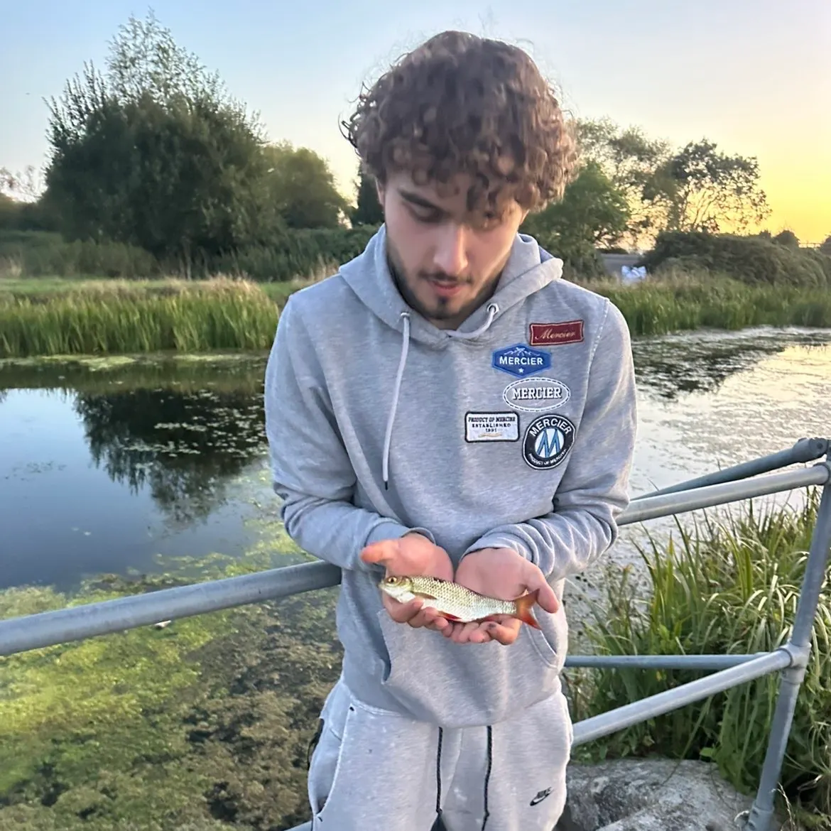 Common rudd caught on Fishbrain