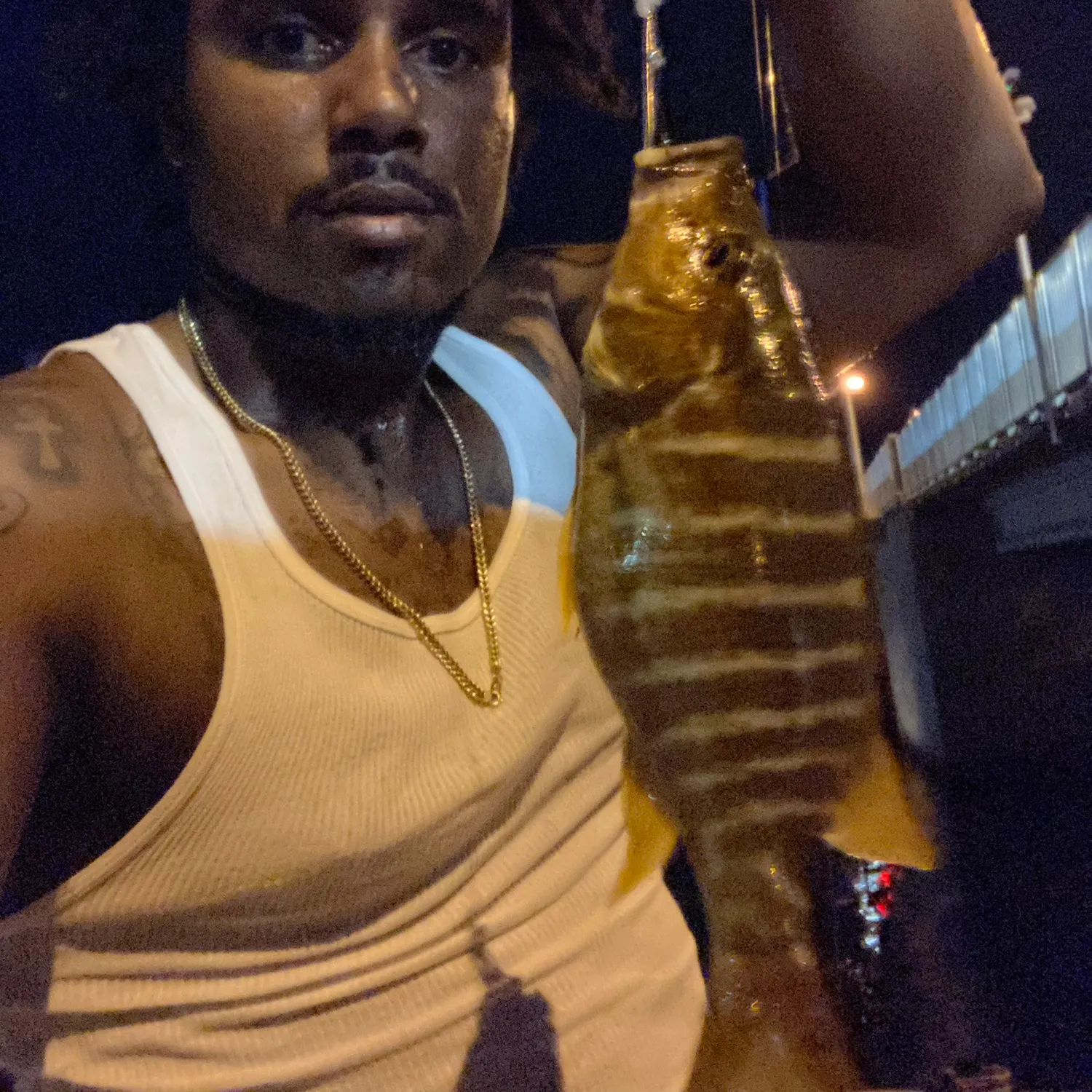 The most recent Schoolmaster snapper catches on Fishbrain