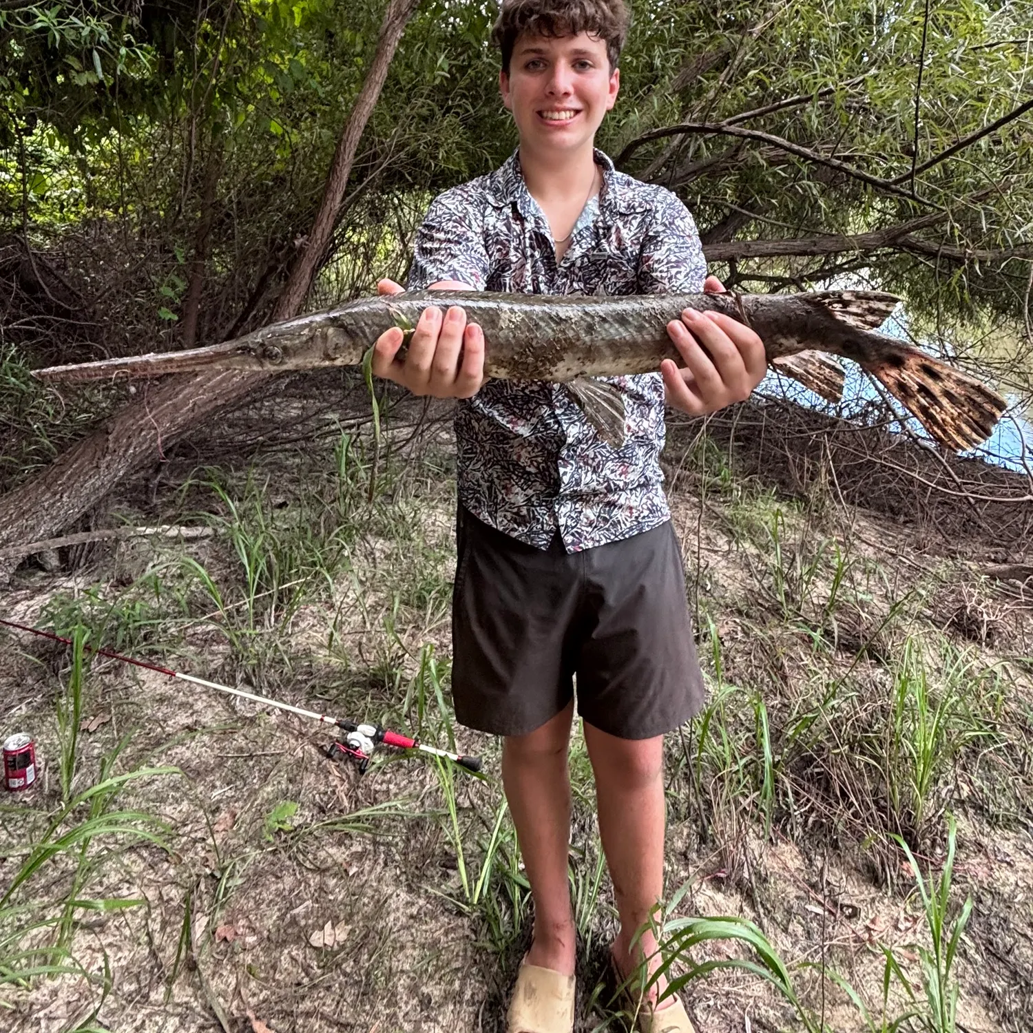 Spotted gar caught on Fishbrain