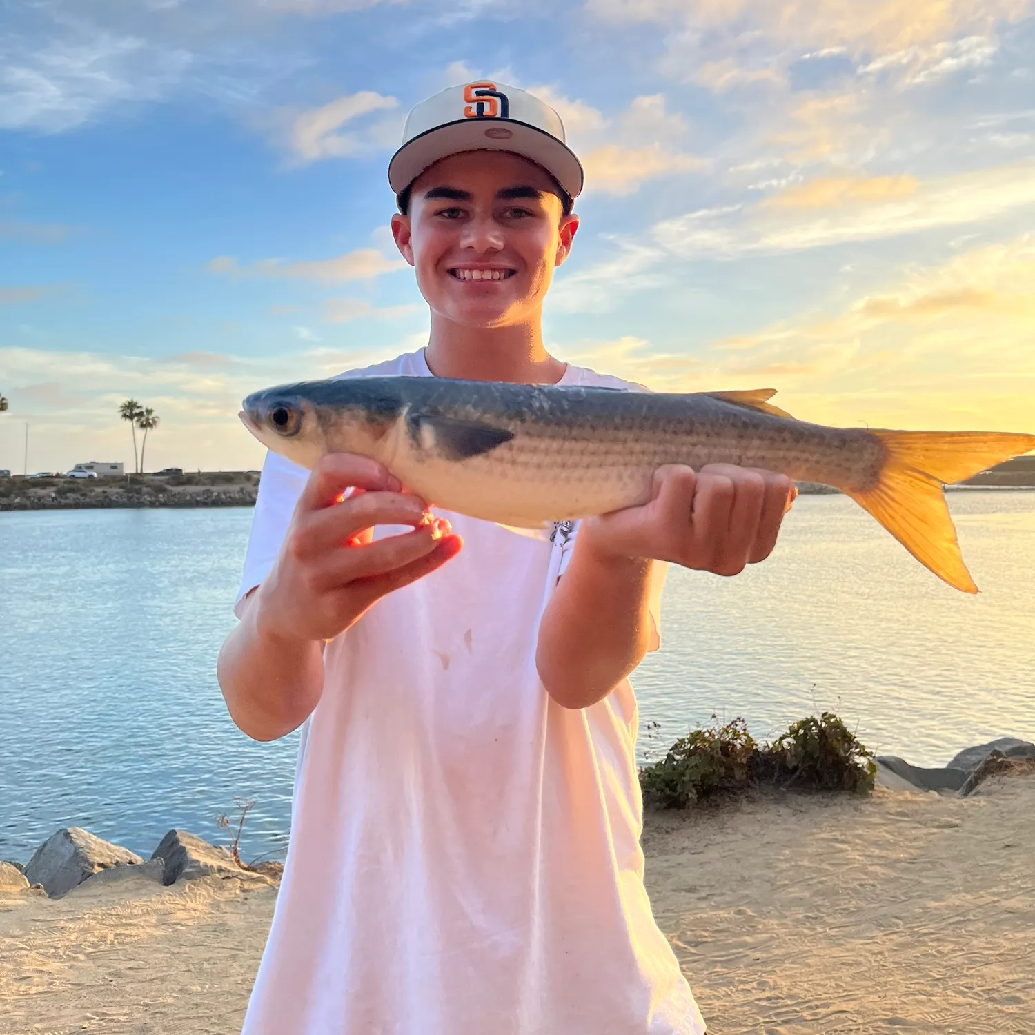 The most recent Striped mullet catches on Fishbrain