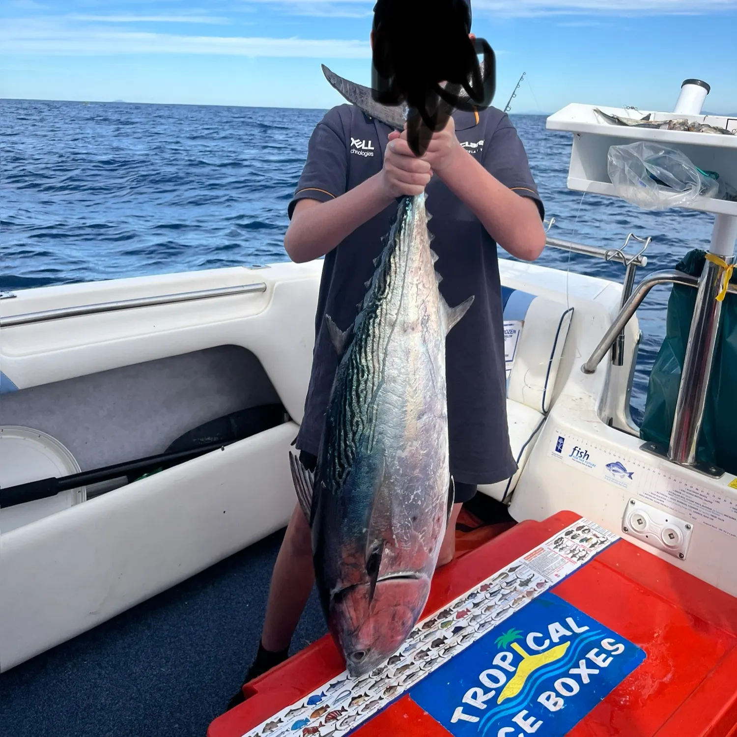 The most recent Kawakawa catches on Fishbrain