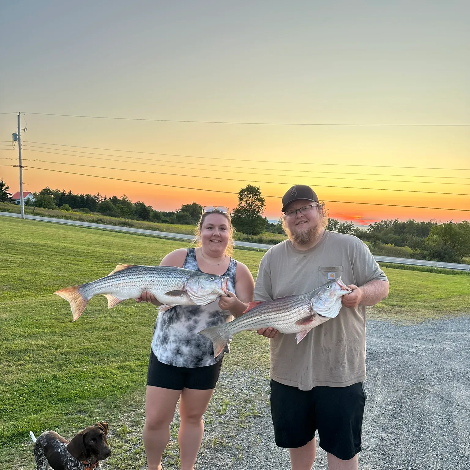 recently logged catches