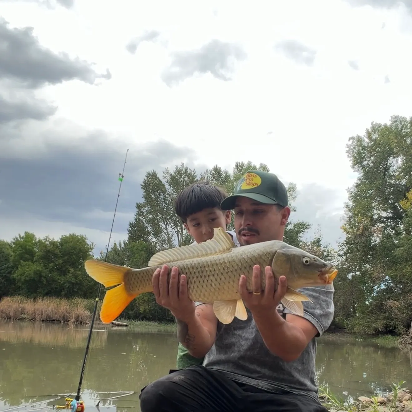 Common carp caught on Fishbrain
