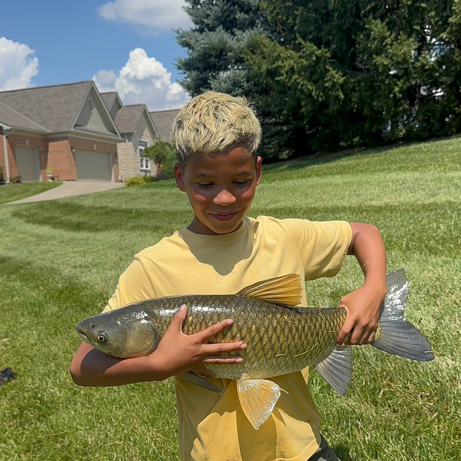 Grass carp caught on Fishbrain
