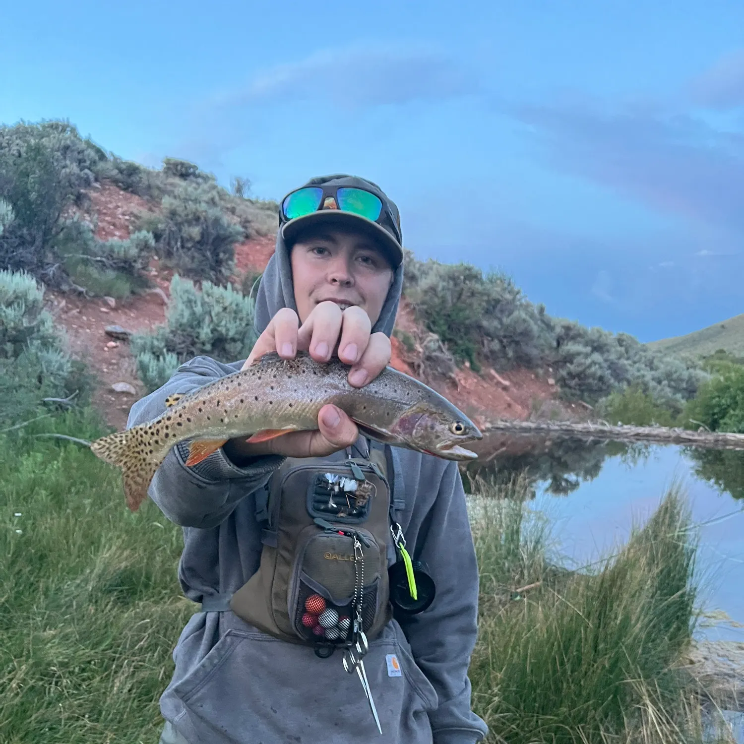 The most recent Bear River cutthroat trout catches on Fishbrain