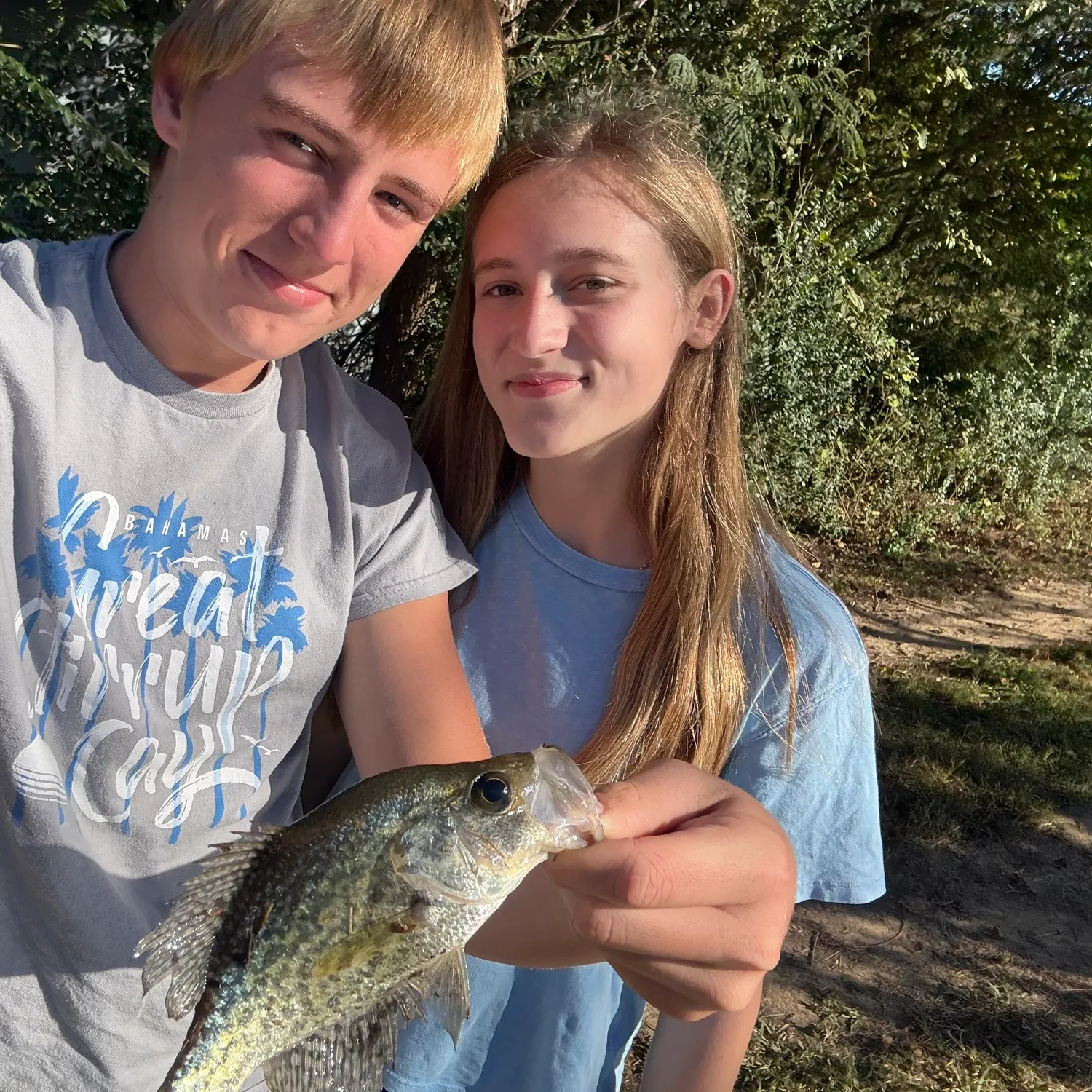 Black crappie caught on Fishbrain