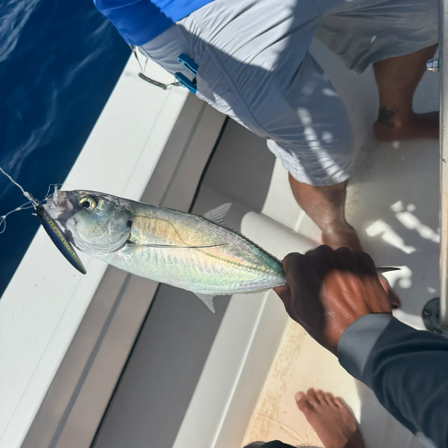 The most recent Green jack catches on Fishbrain