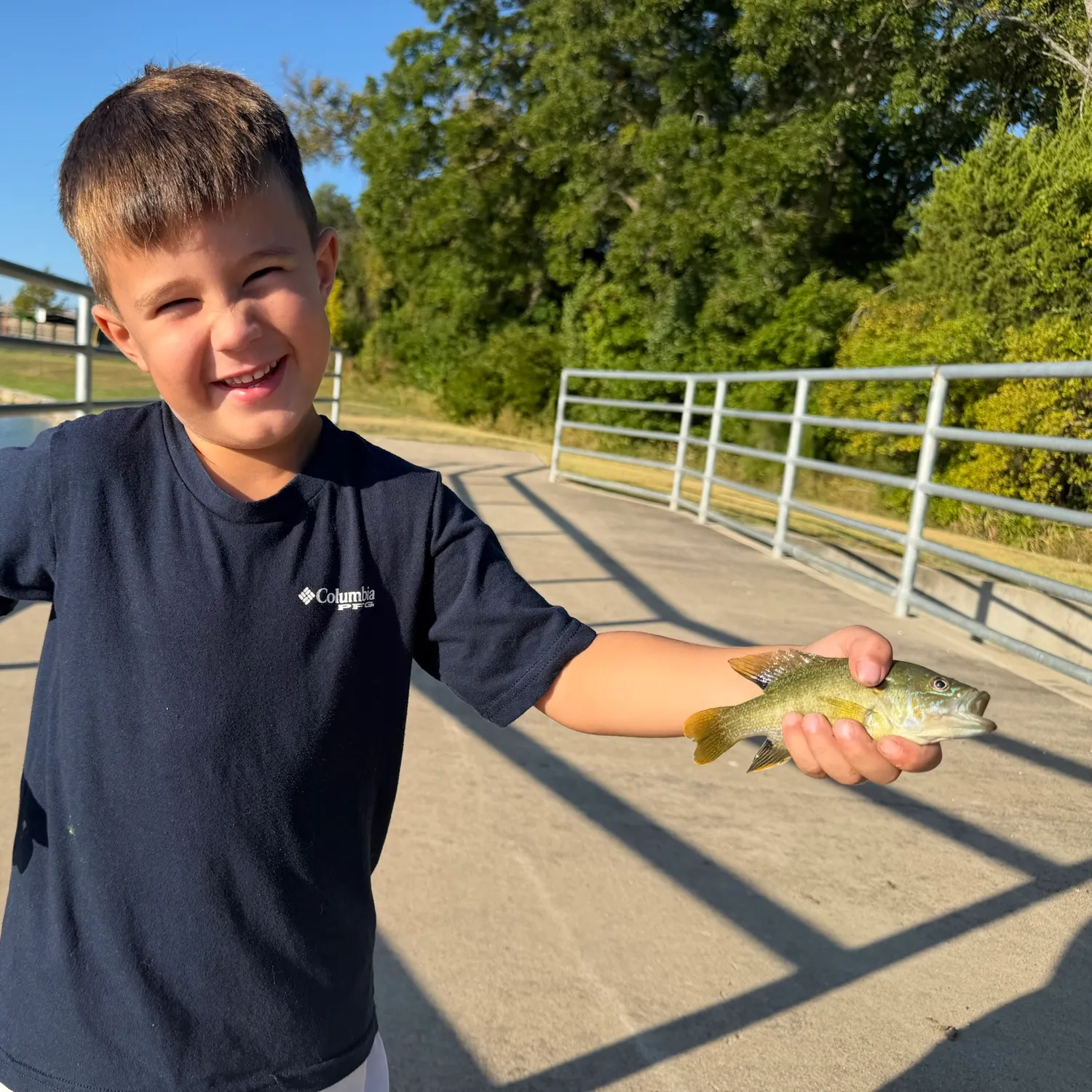 Greengill hybrid caught on Fishbrain