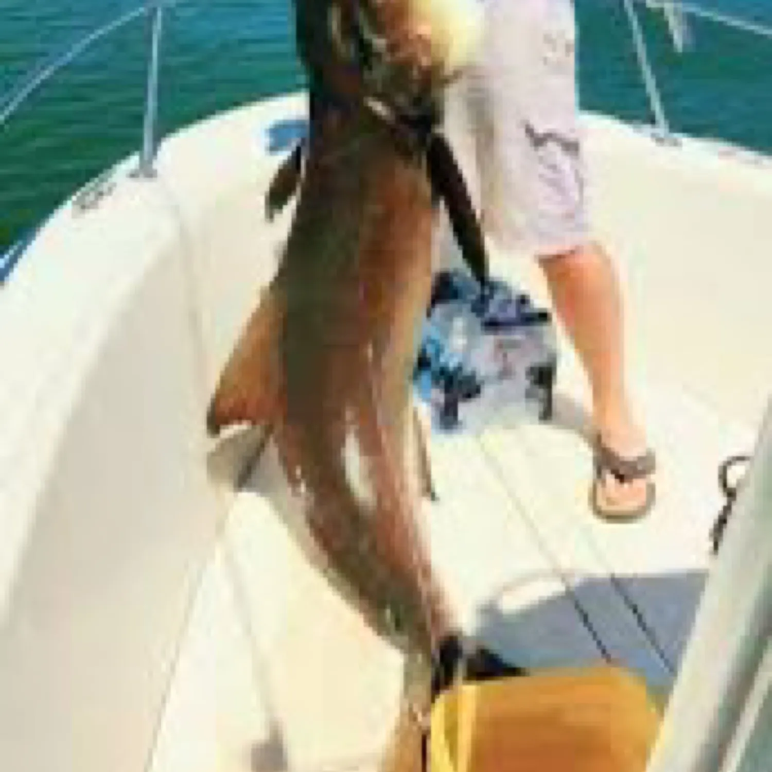 most liked catch image