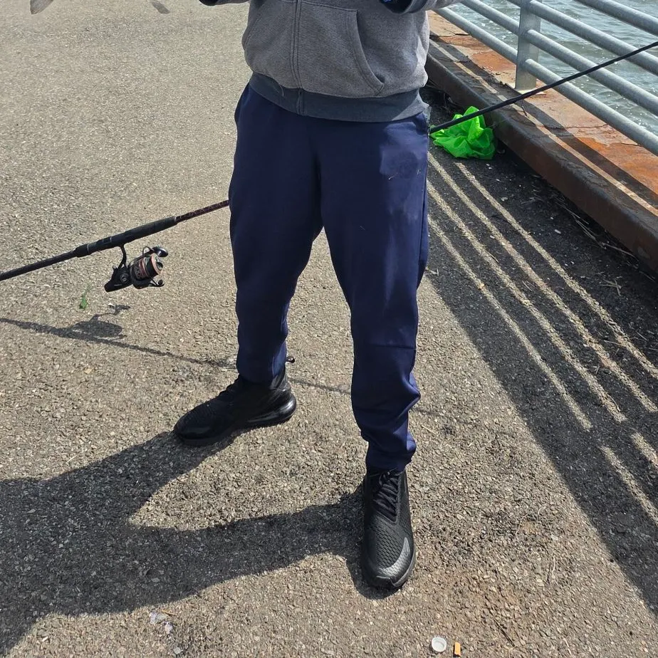 The most recent Striped bass catches on Fishbrain