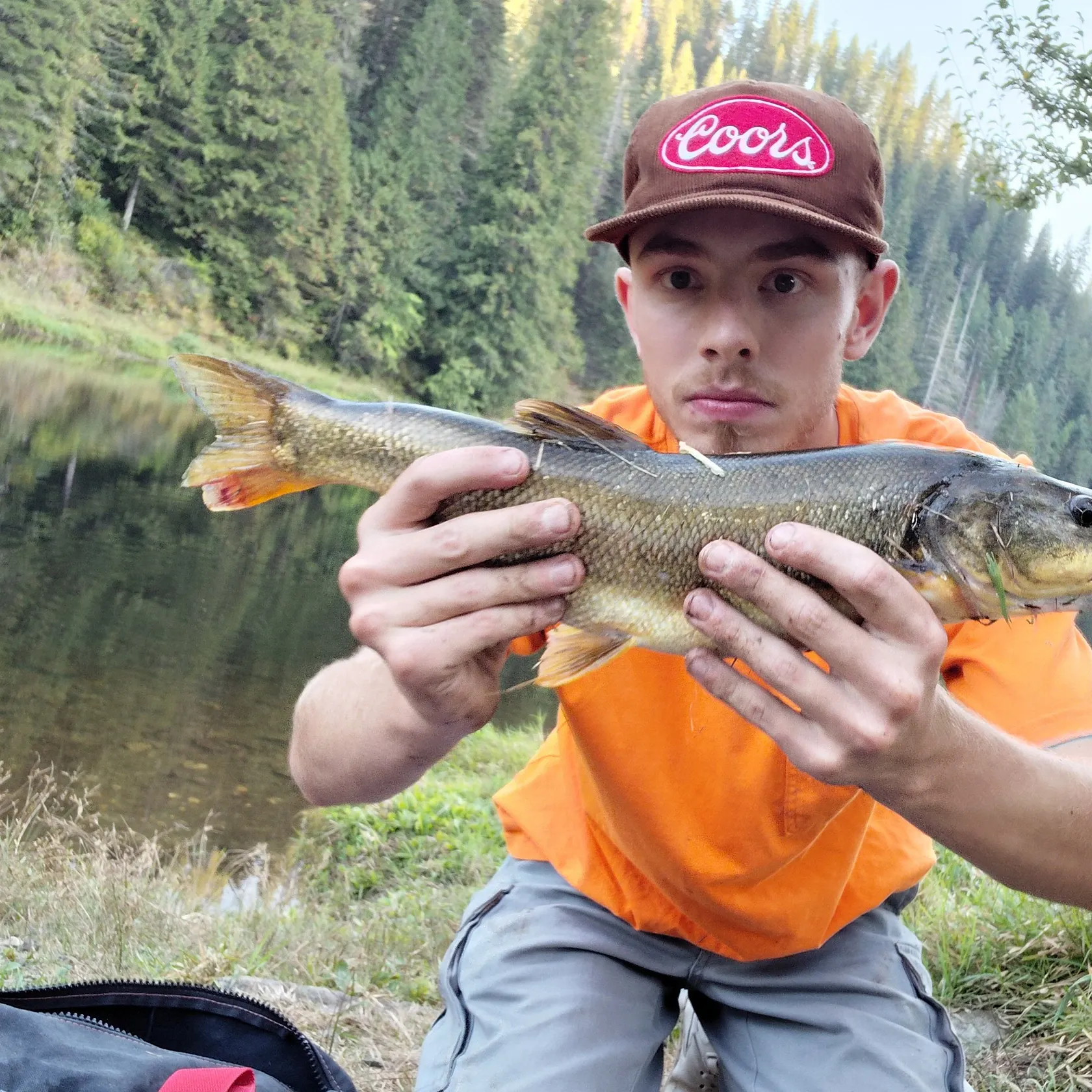 Northern pikeminnow caught on Fishbrain