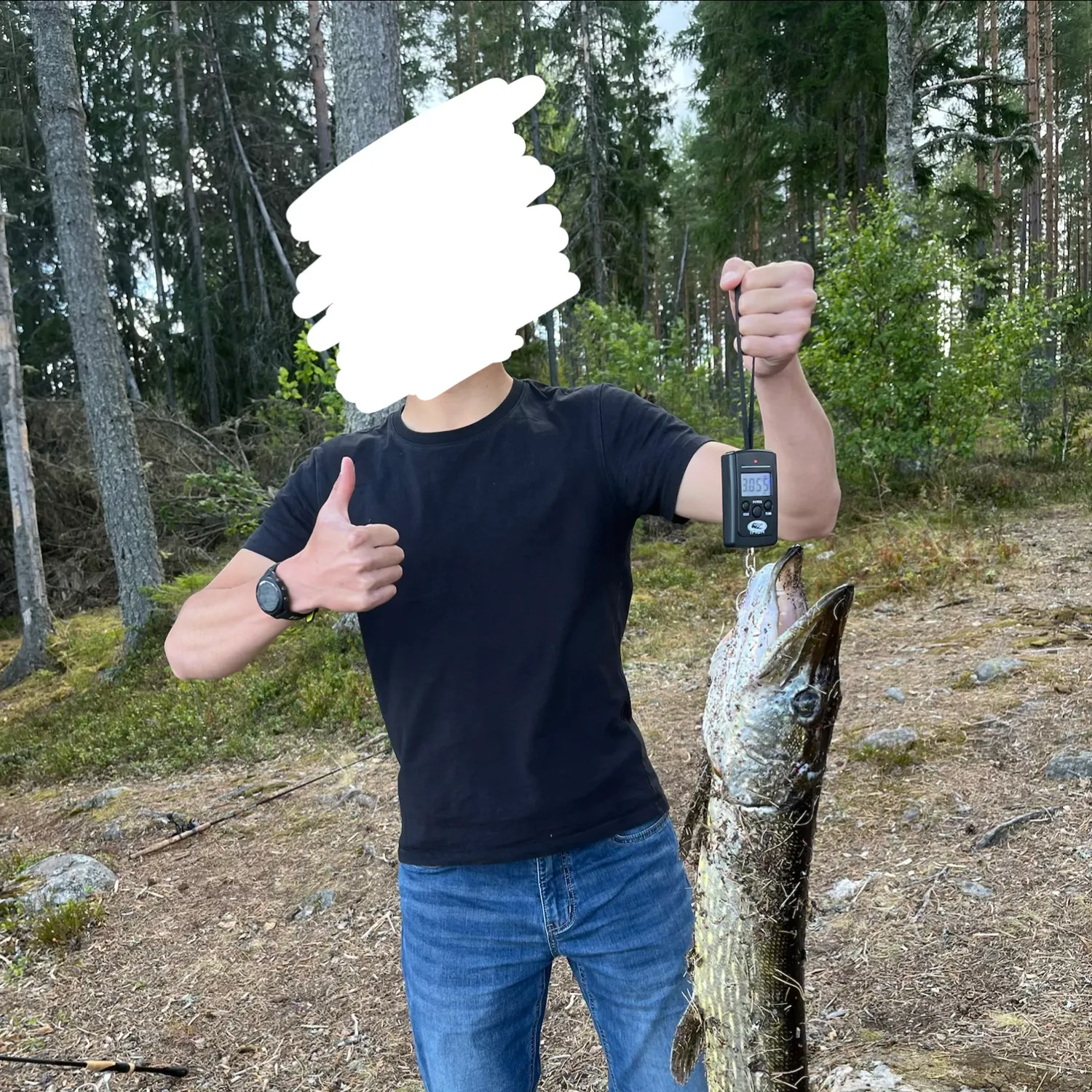Northern pike caught on Fishbrain