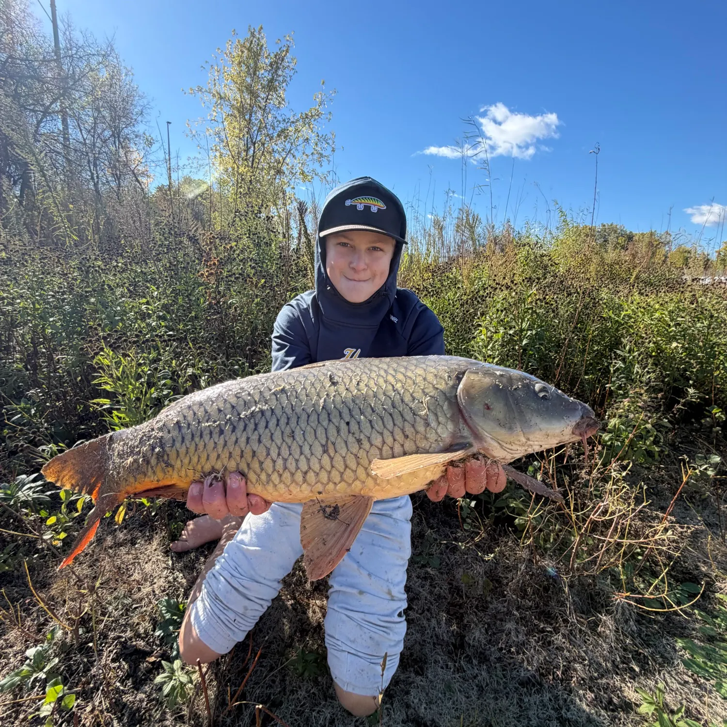 Common carp caught on Fishbrain