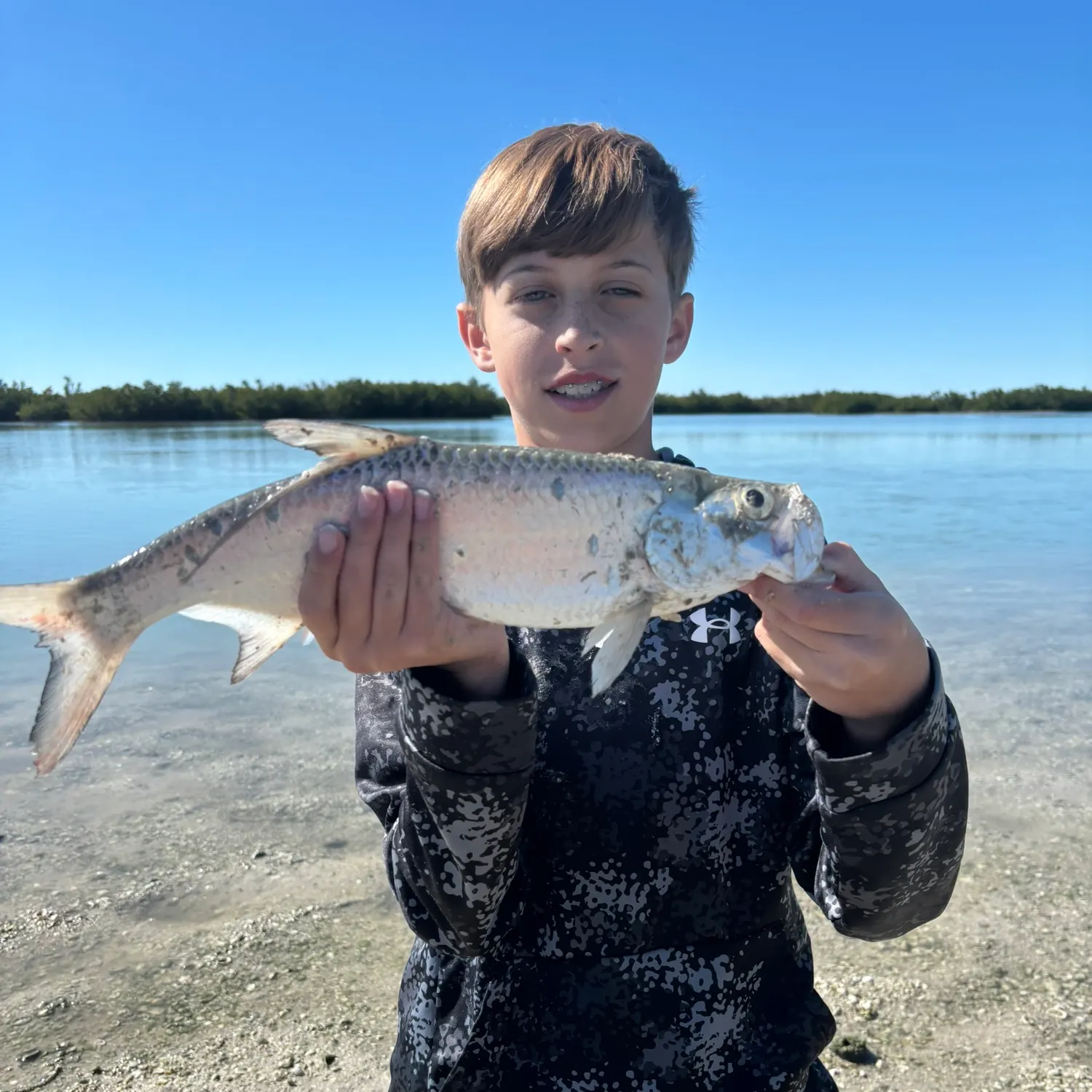 The most recent Tarpon catches on Fishbrain