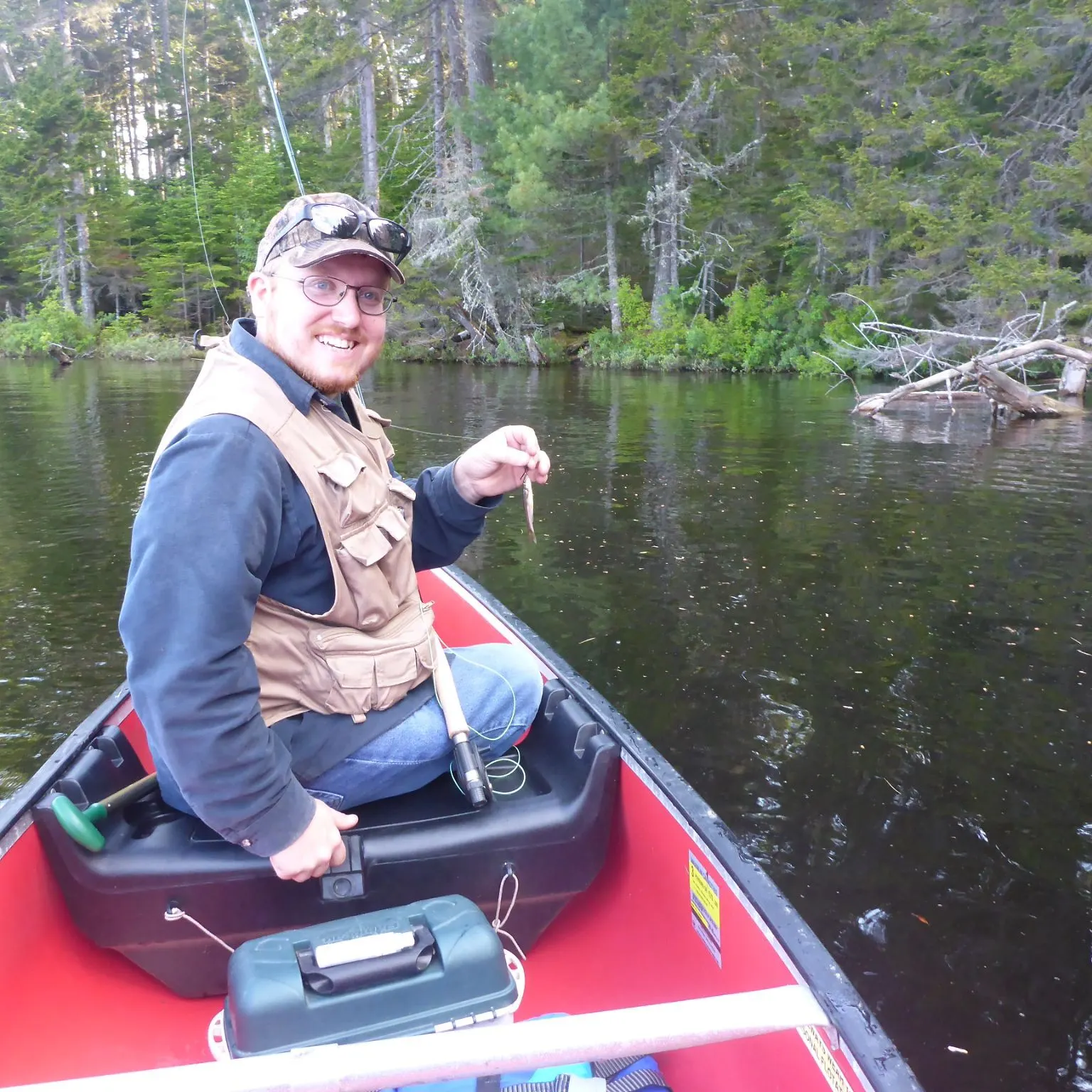 The most recent Lake chub catches on Fishbrain