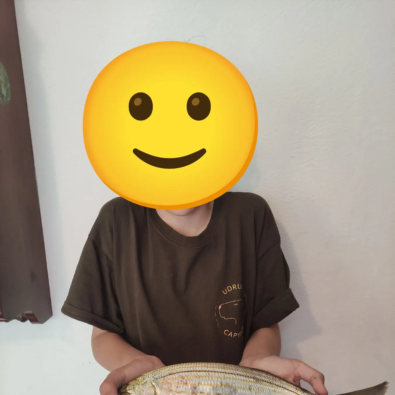 The most recent Salema porgy catches on Fishbrain