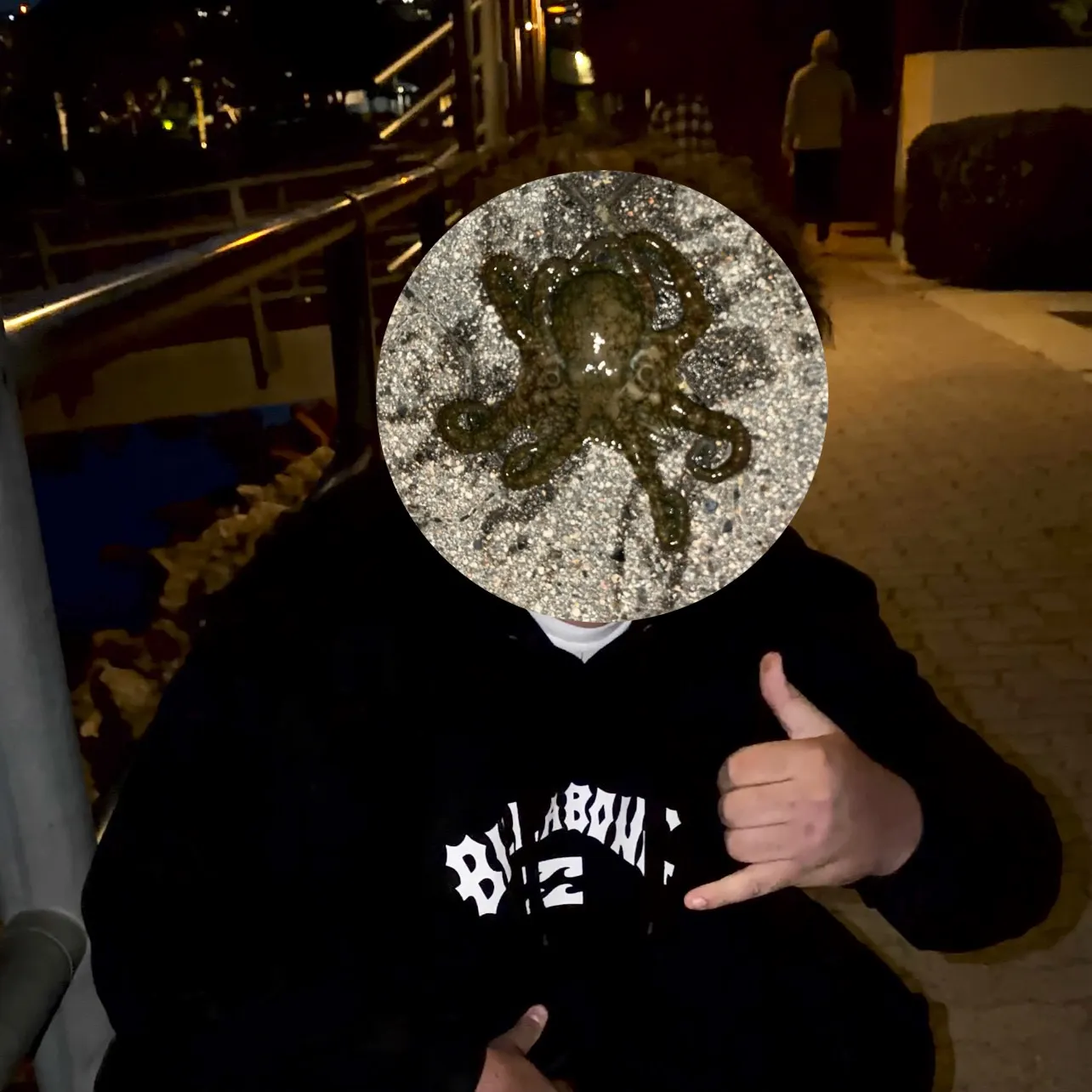 The most recent Common octopus catches on Fishbrain