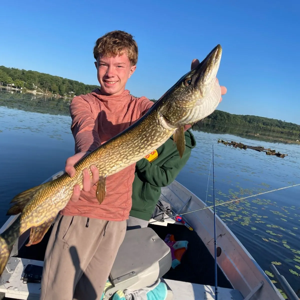 Northern pike caught on Fishbrain