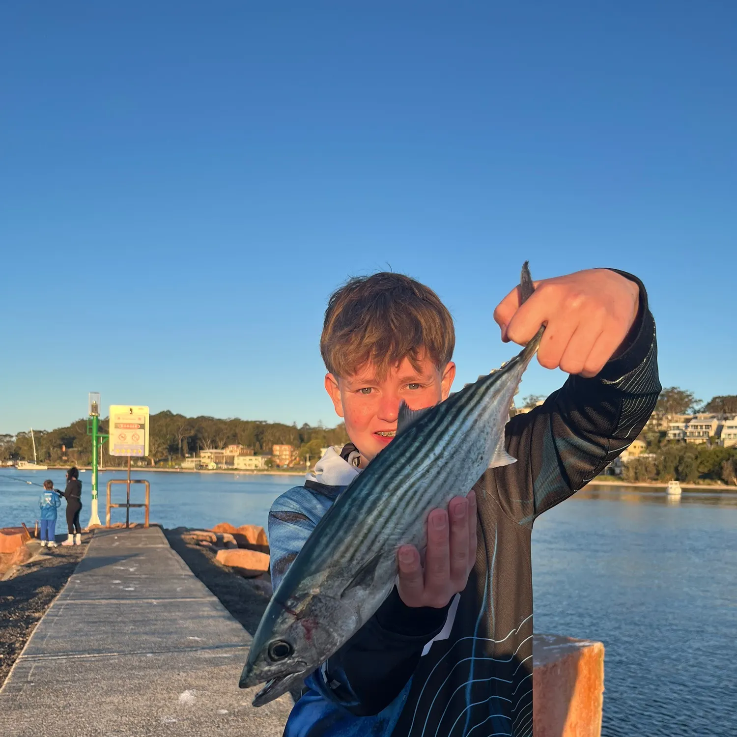 The most recent Australian bonito catches on Fishbrain