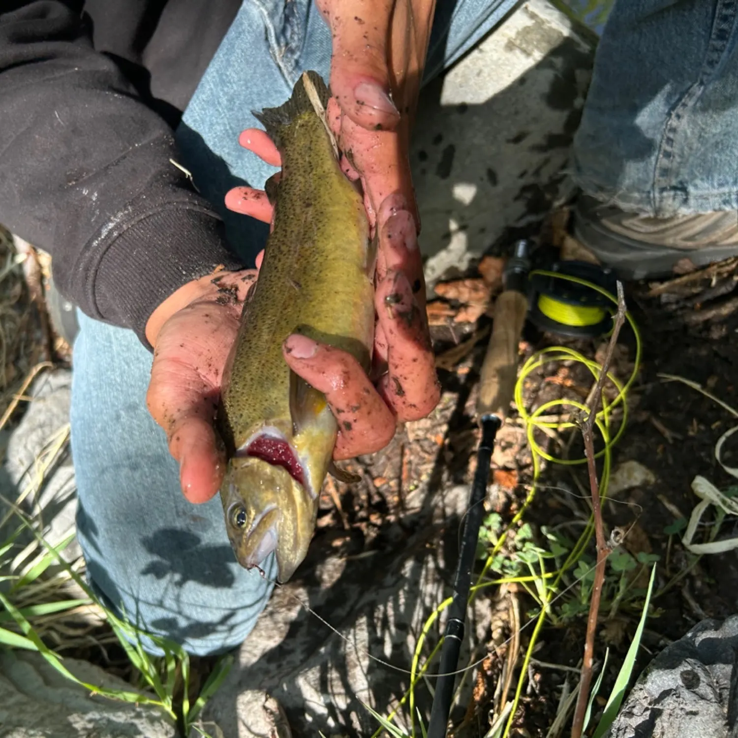 most liked catch image