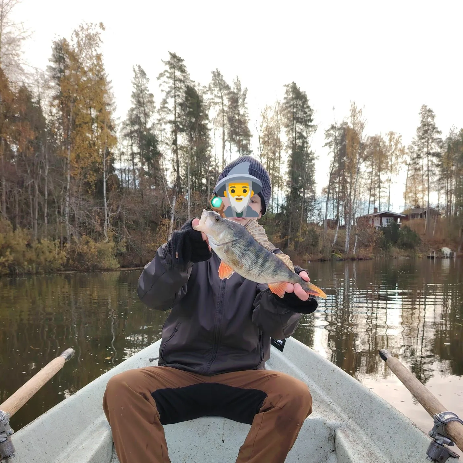 European perch caught on Fishbrain