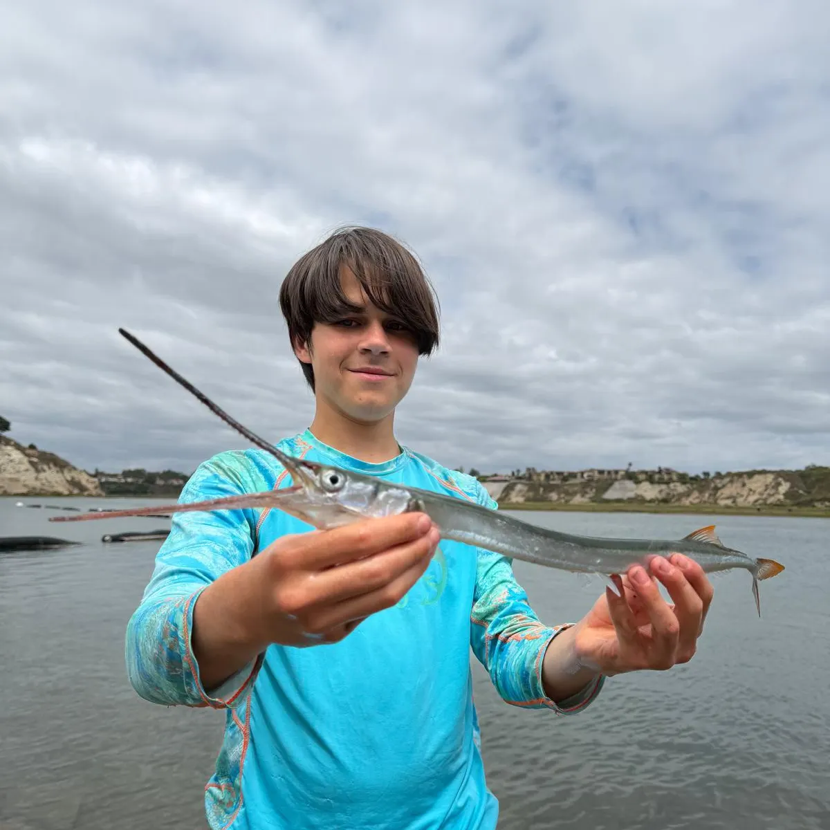 The most recent California needlefish catches on Fishbrain