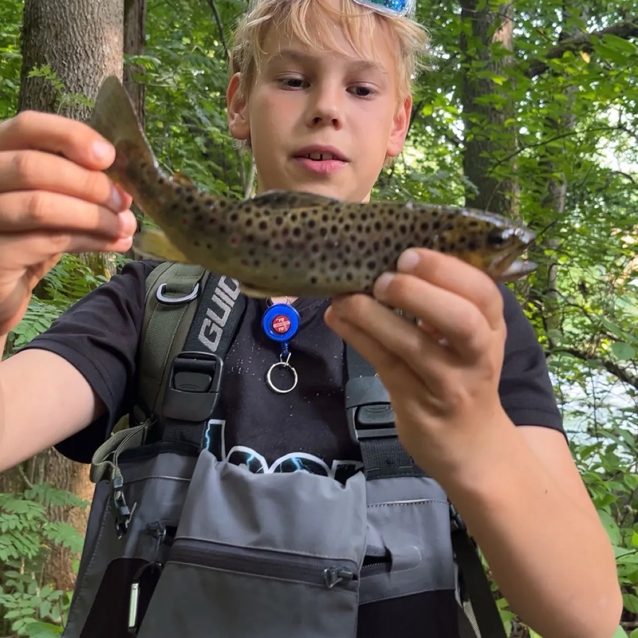 Brown trout caught on Fishbrain