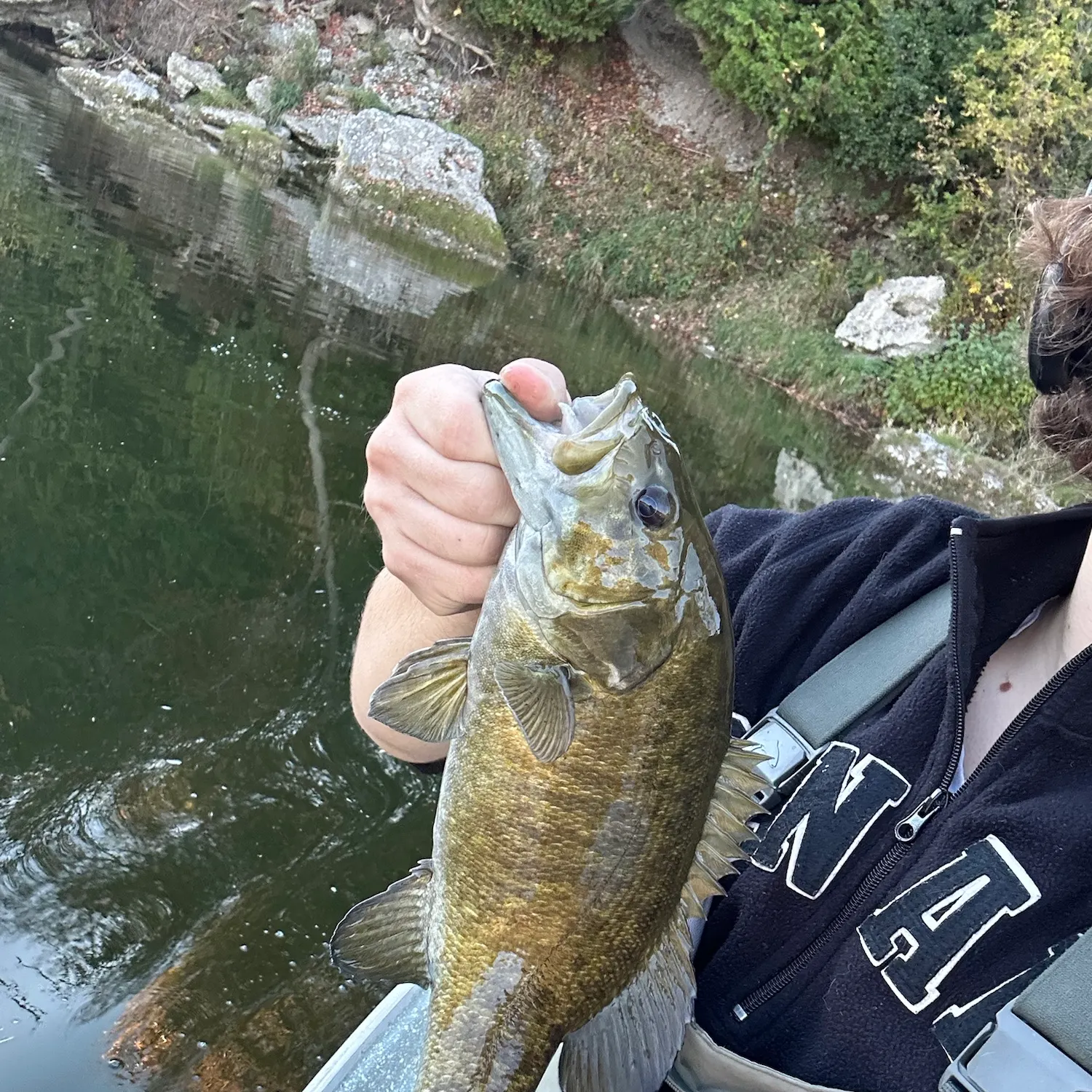 Smallmouth bass caught on Fishbrain
