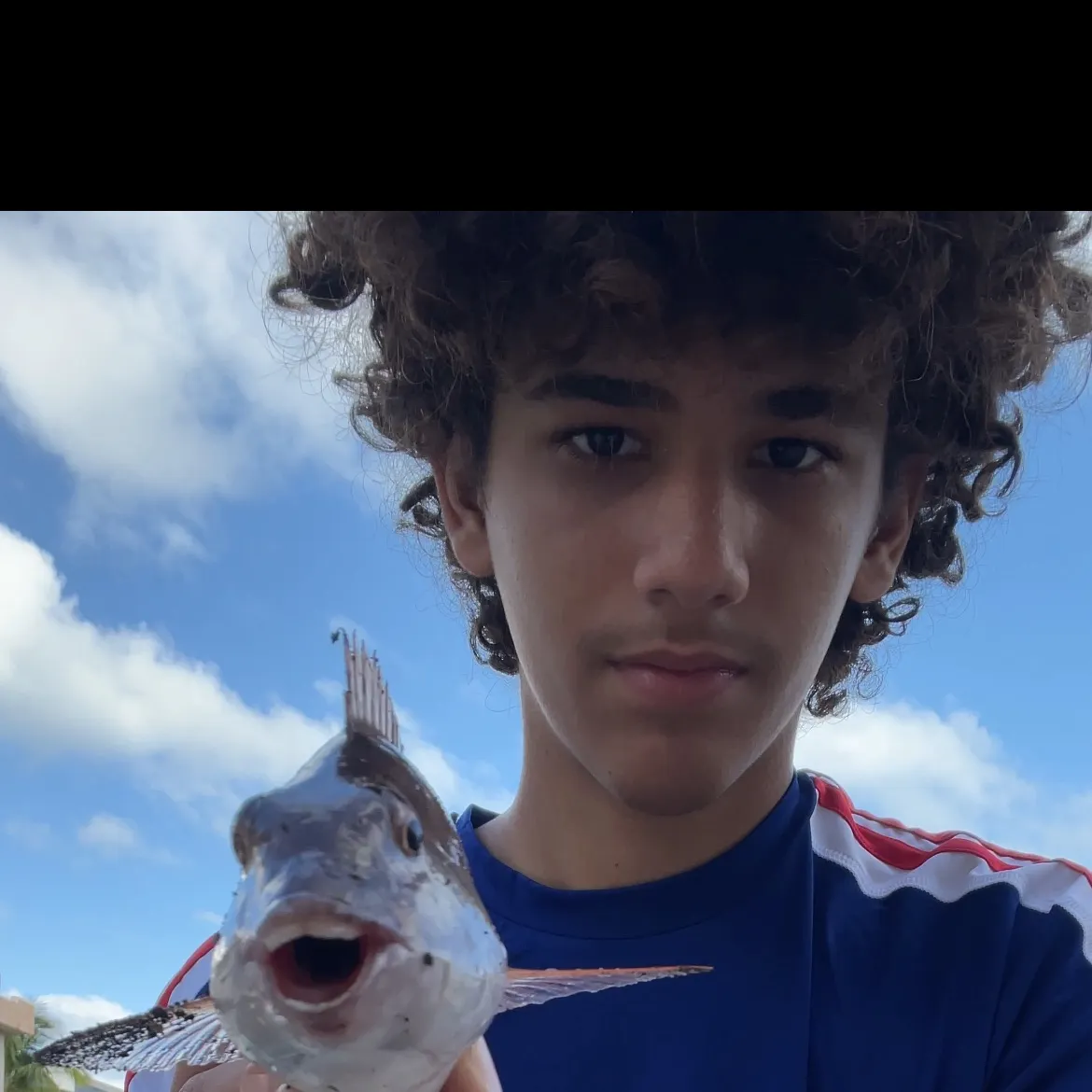 The most recent Redfin parrotfish catches on Fishbrain