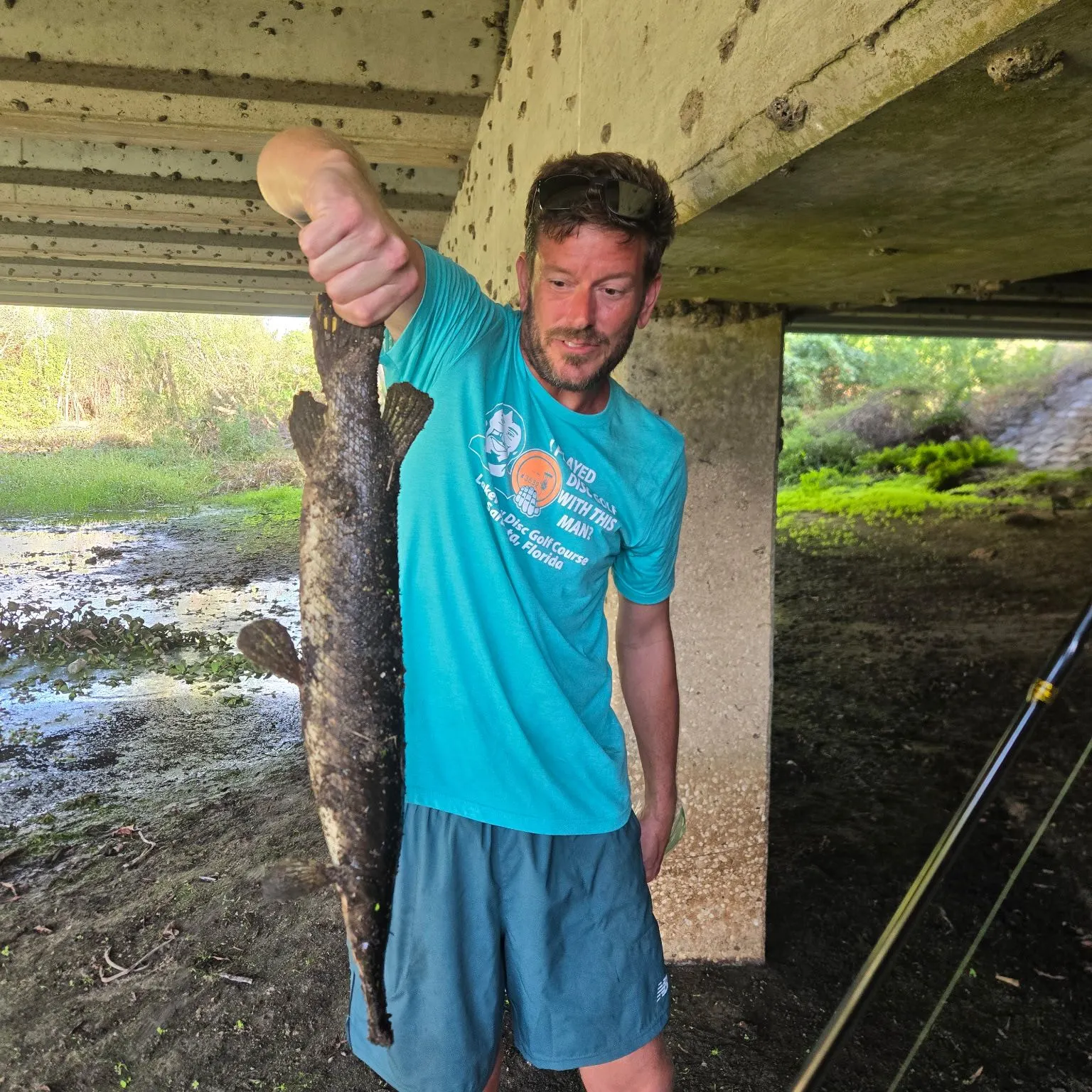 The most recent Florida gar catches on Fishbrain
