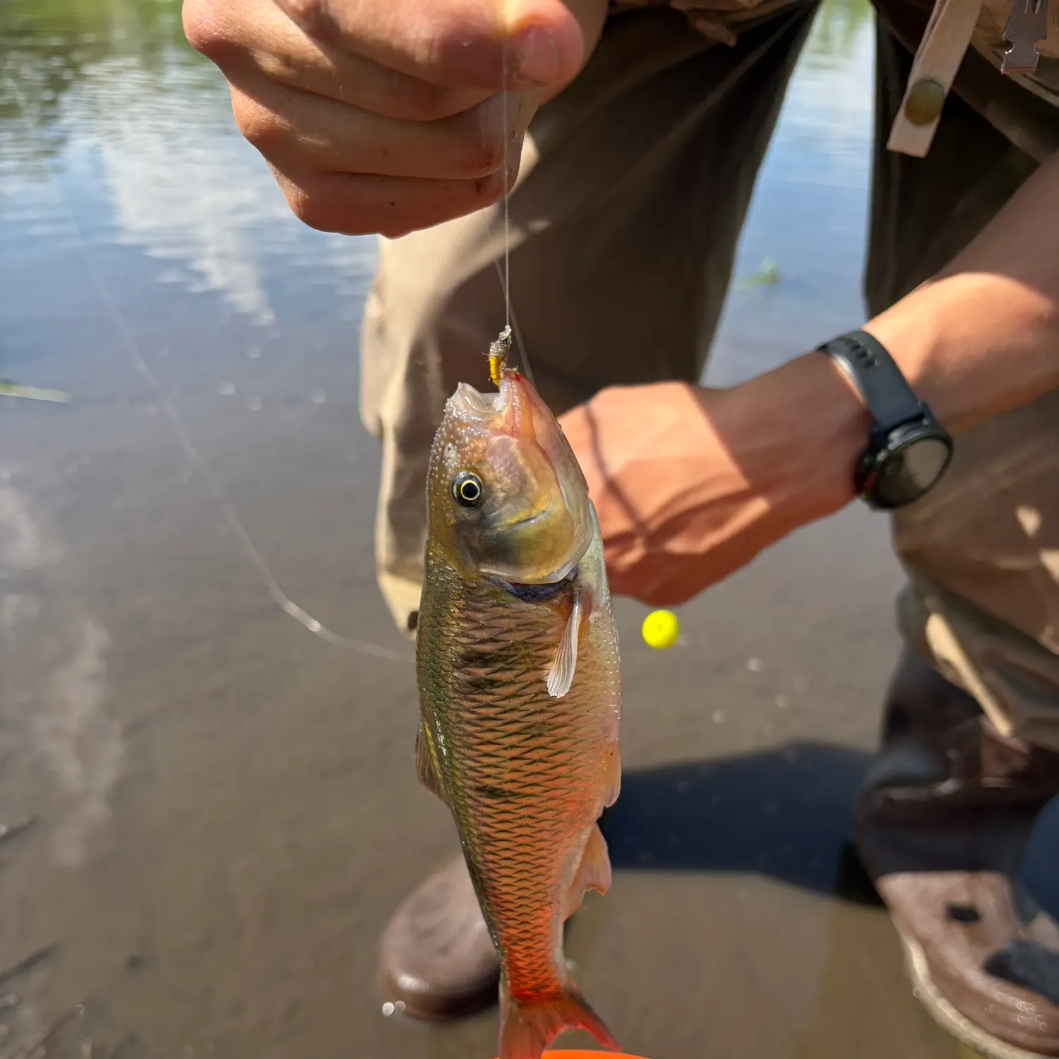 catch
