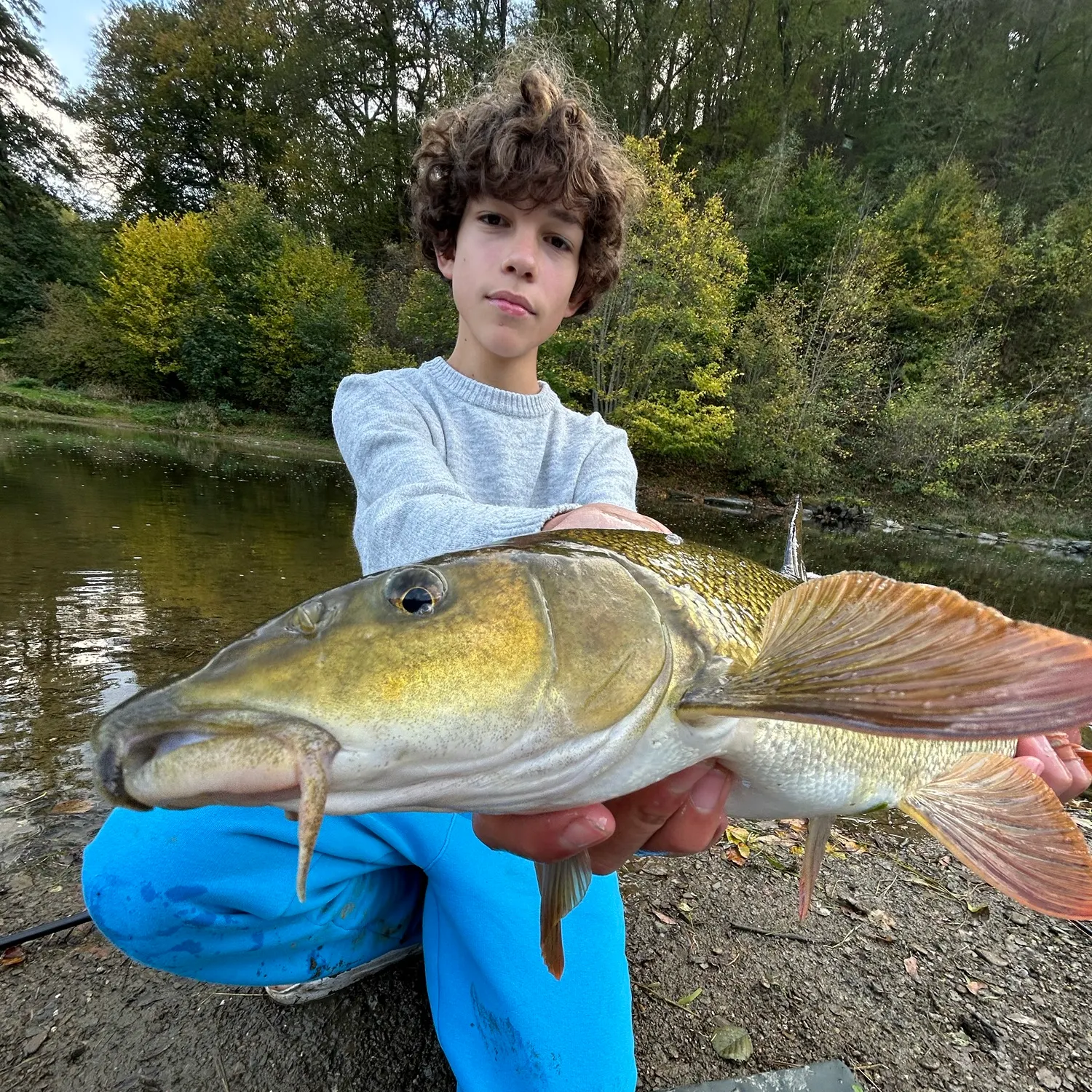 Common barbel caught on Fishbrain