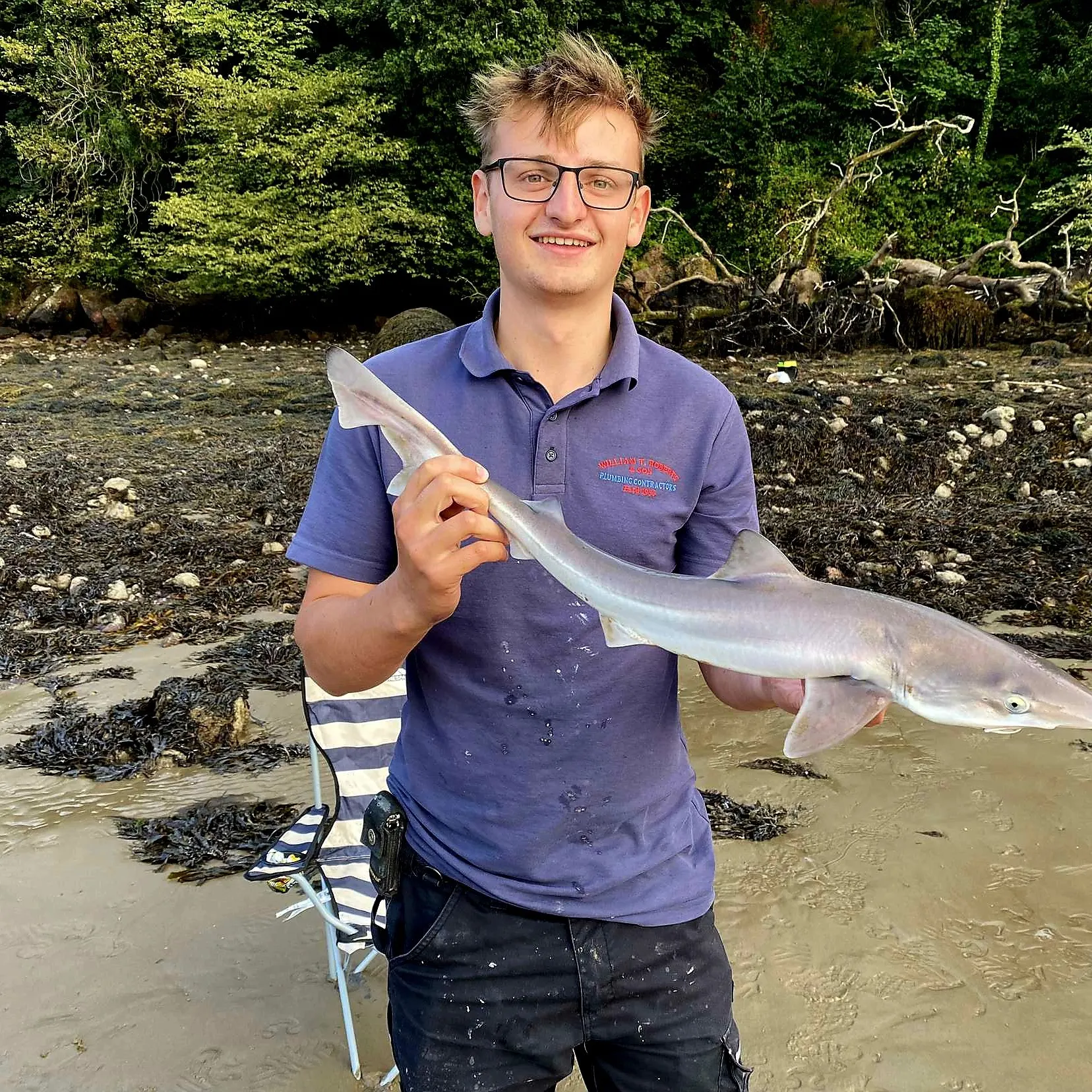 The most recent Tope shark catches on Fishbrain