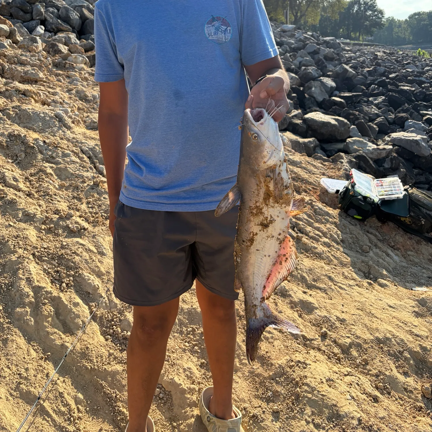 Blue catfish caught on Fishbrain