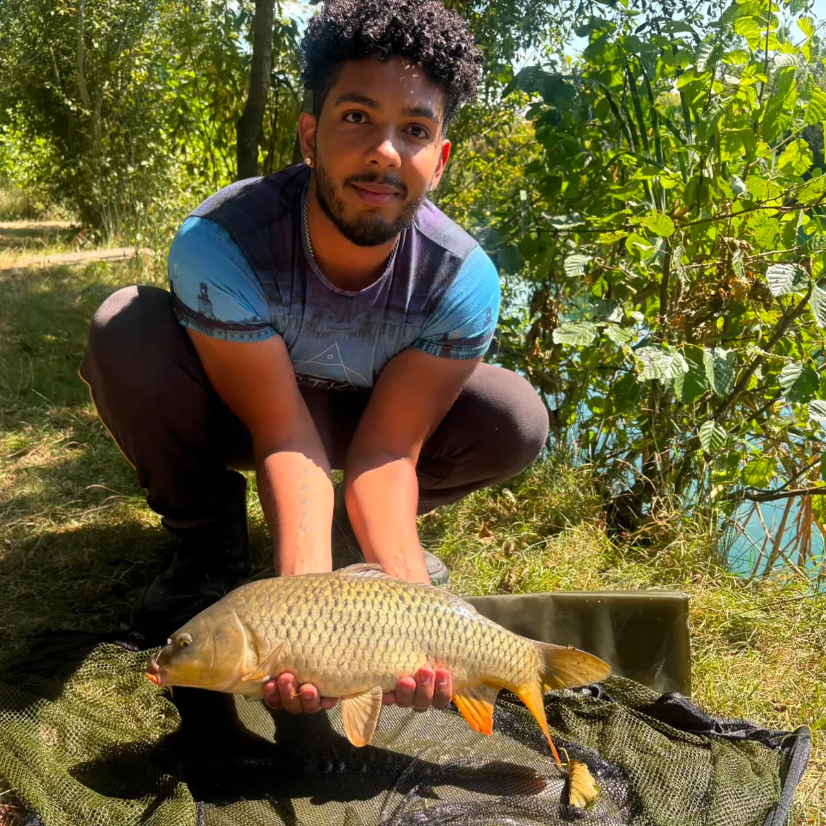 Common carp caught on Fishbrain