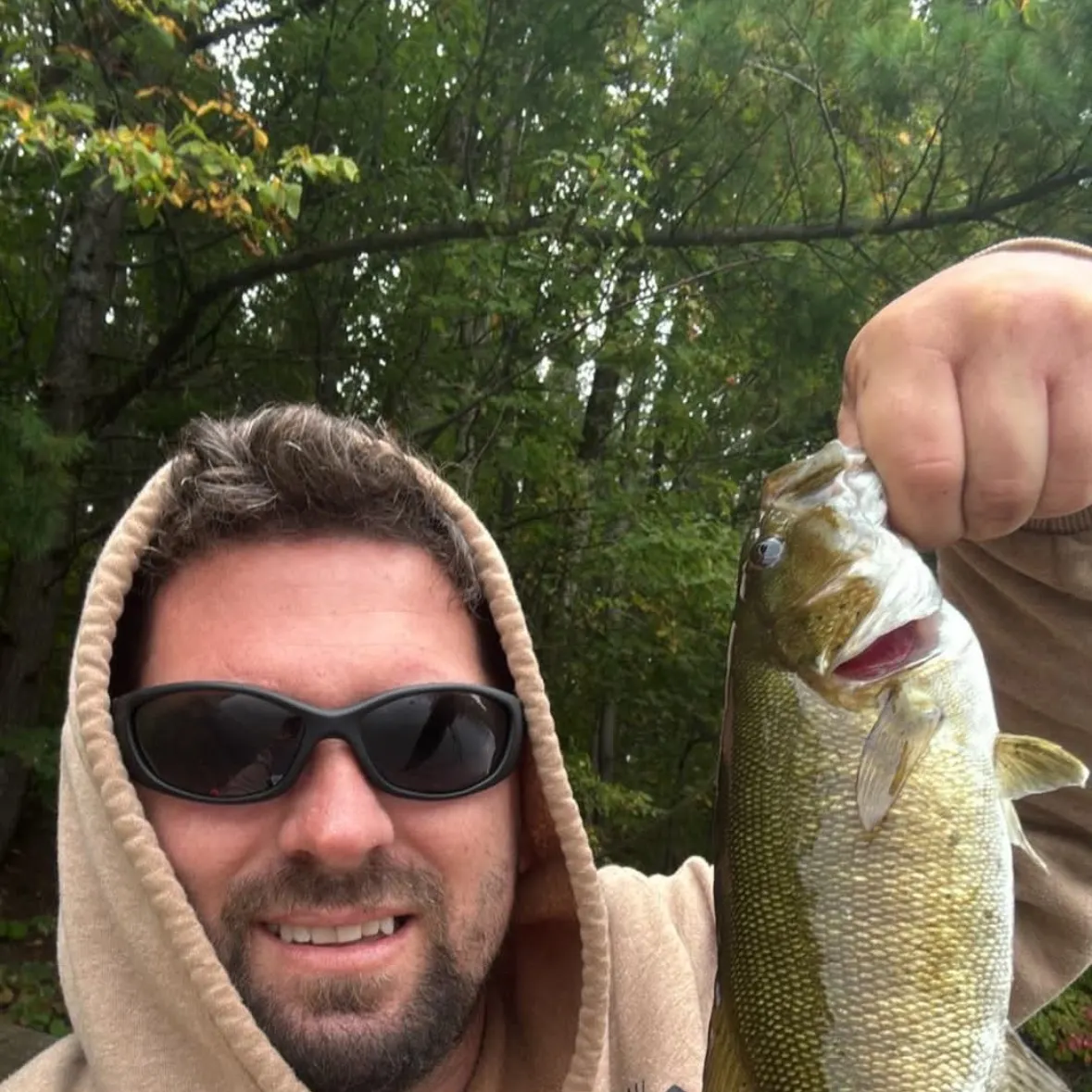 Smallmouth bass caught on Fishbrain