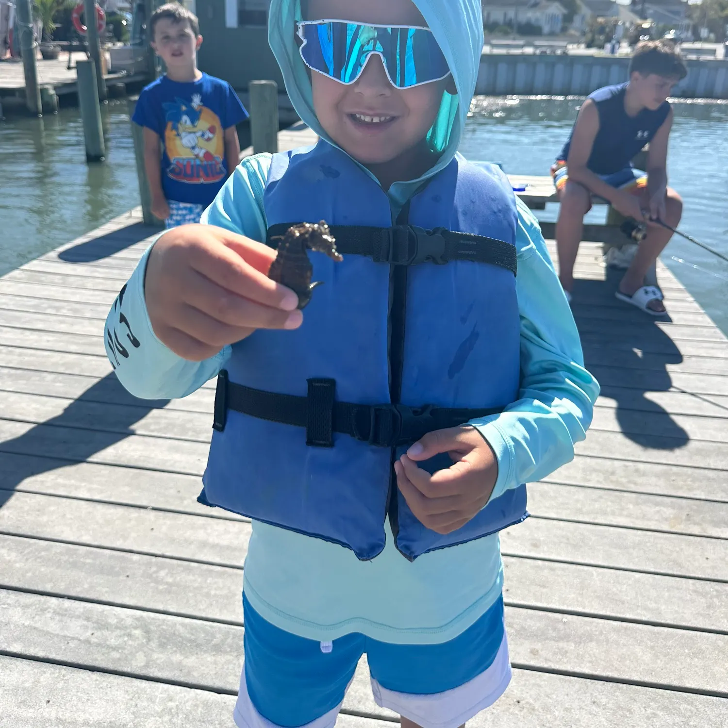 The most recent Great seahorse catches on Fishbrain