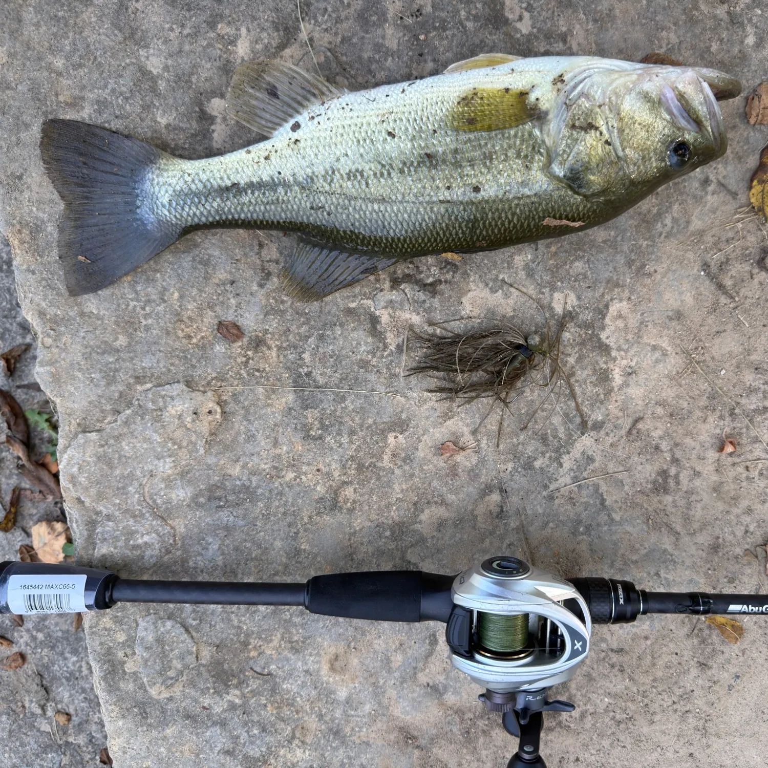 Largemouth bass caught on Fishbrain