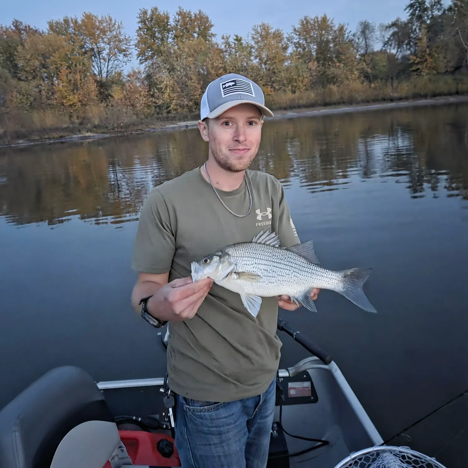 White bass caught on Fishbrain