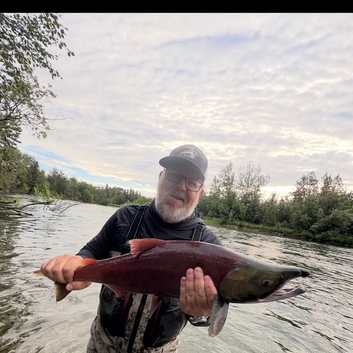 The most recent Sockeye salmon catches on Fishbrain