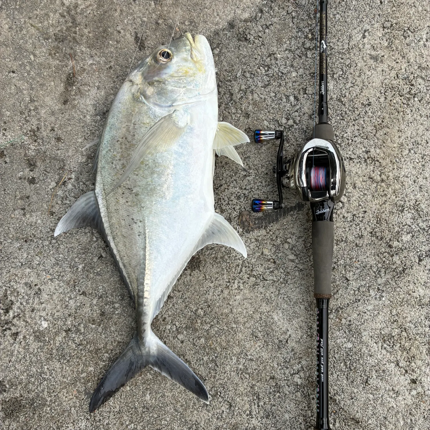 The most recent Giant trevally catches on Fishbrain
