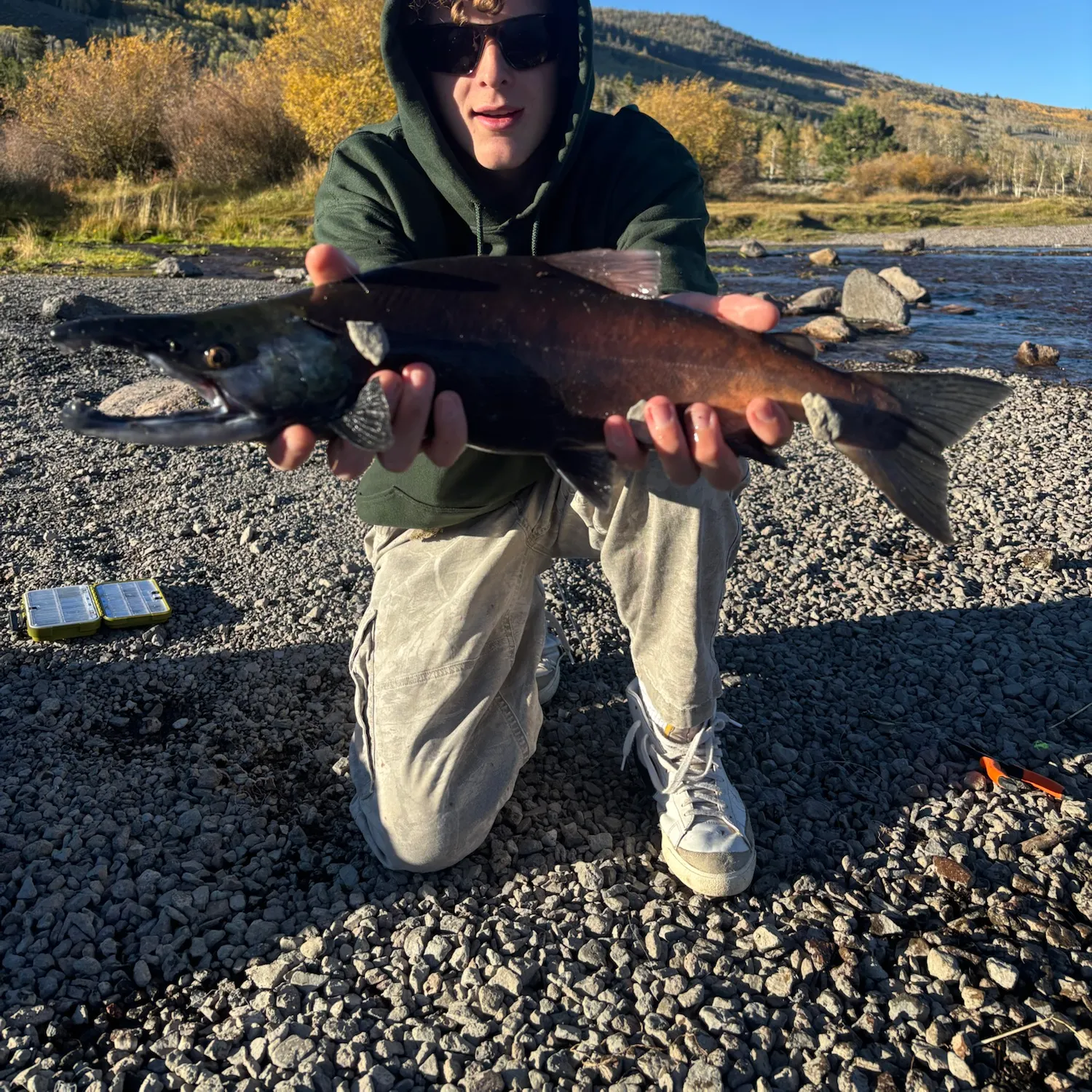 Kokanee salmon caught on Fishbrain