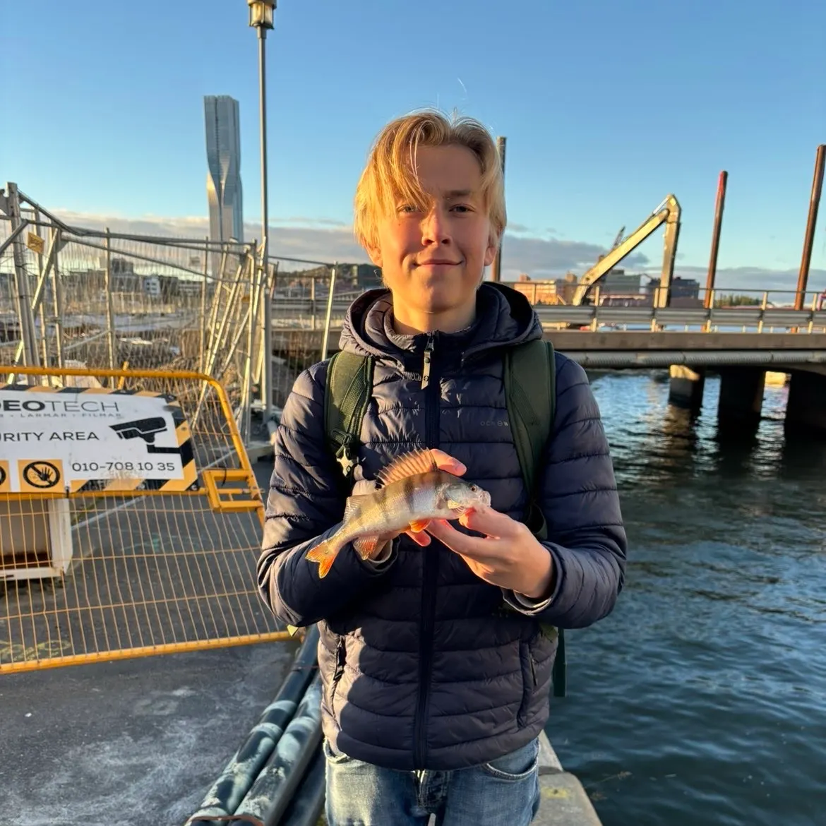 European perch caught on Fishbrain