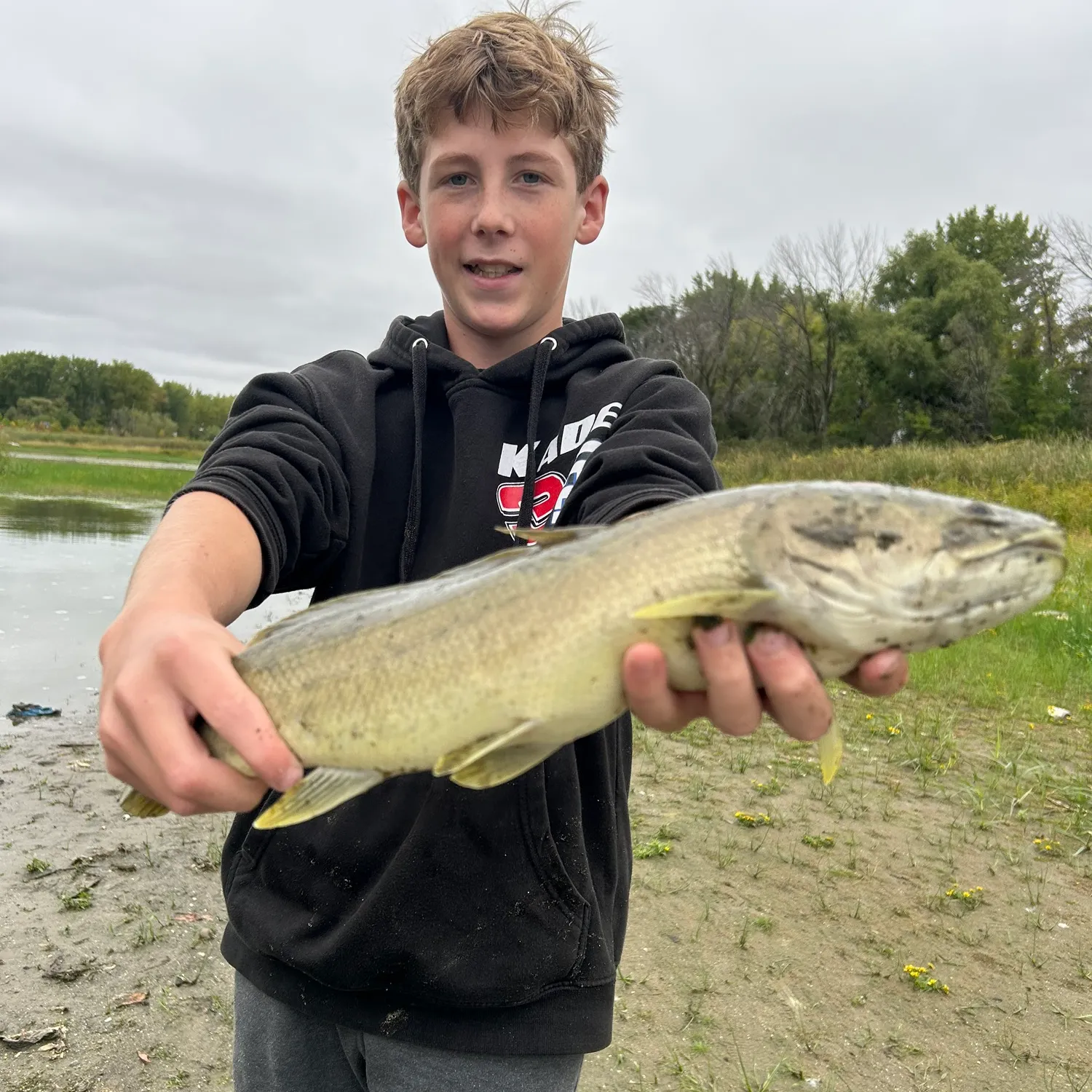 Eyetail bowfin caught on Fishbrain