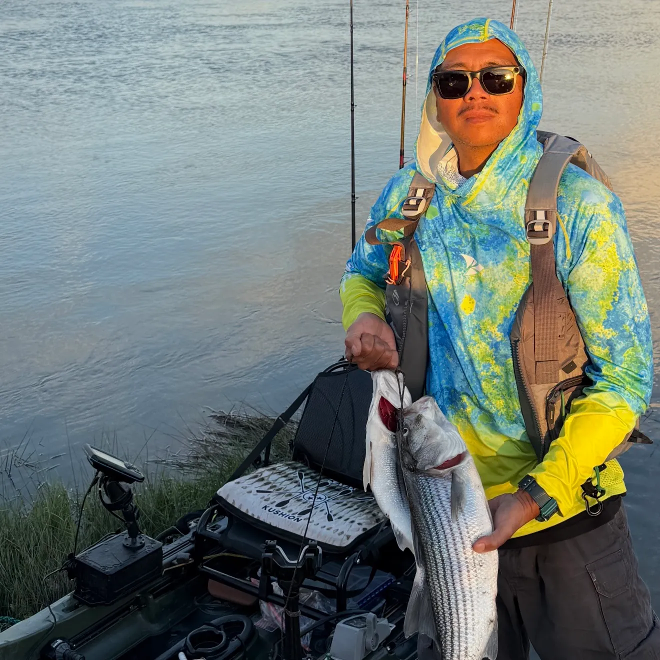 Striped bass caught on Fishbrain