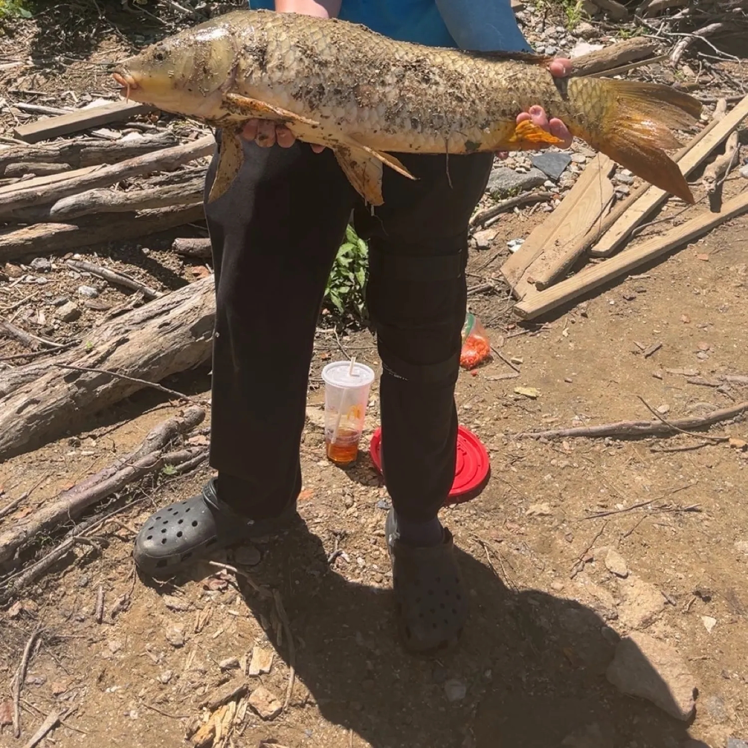 most liked catch image