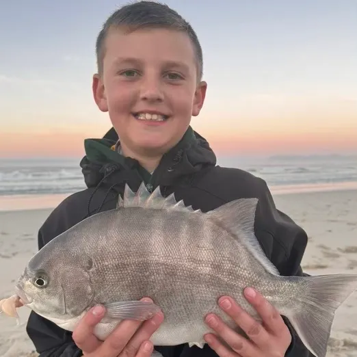 Galjoen caught on Fishbrain