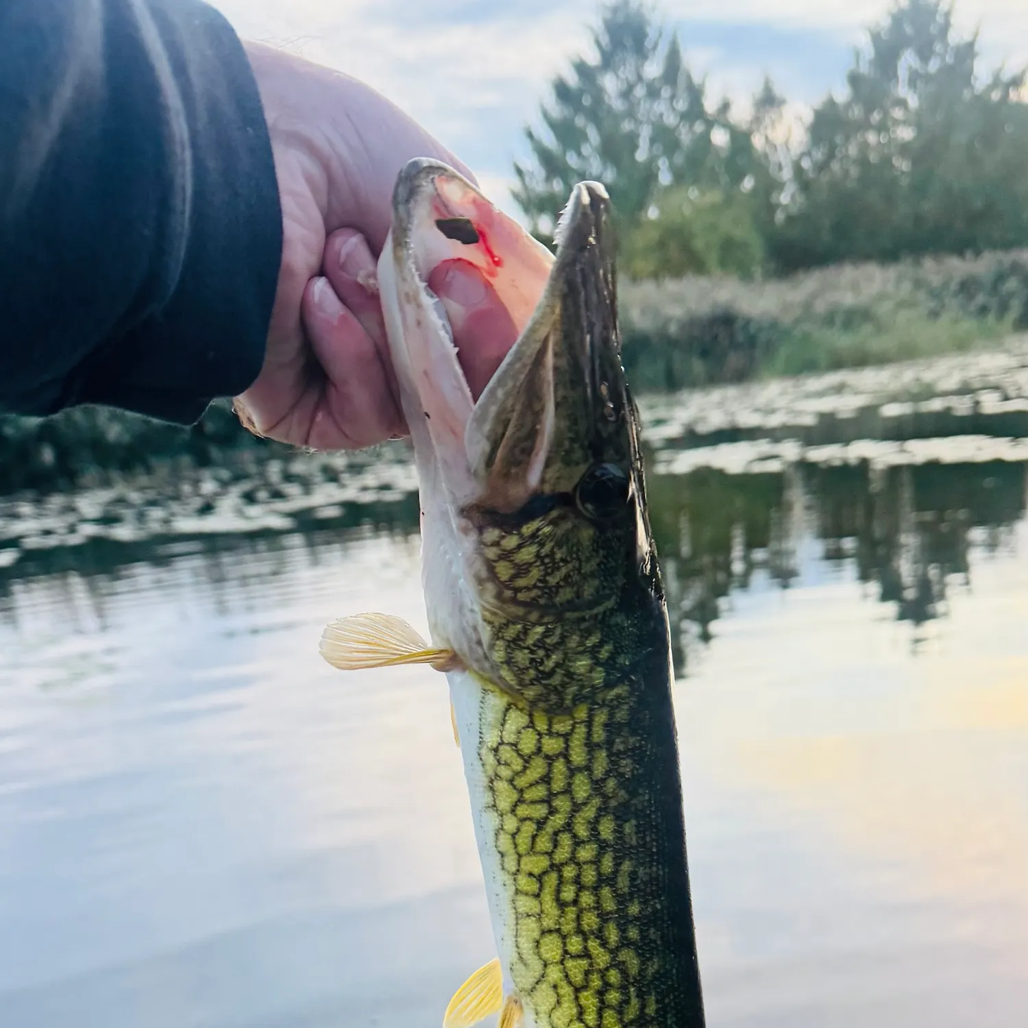 catch