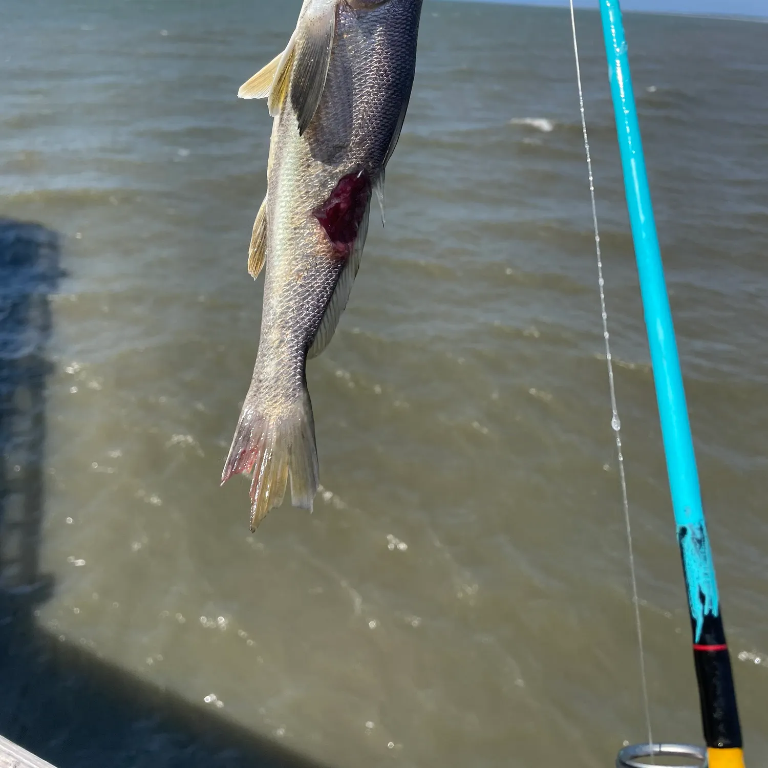most liked catch image